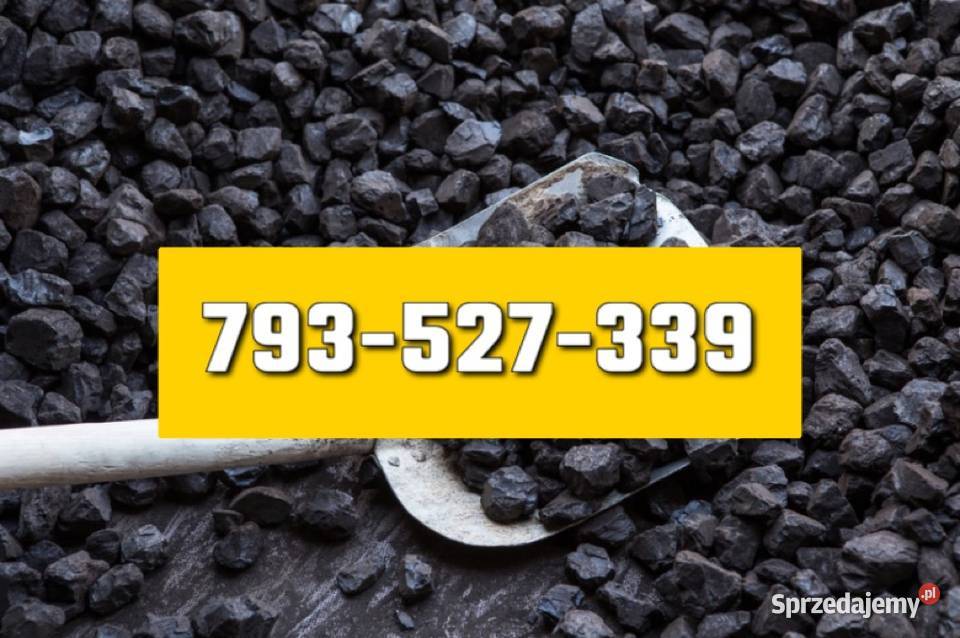 Polski Węgiel Orzech Marcel Staszic Mysłowice Bielawa