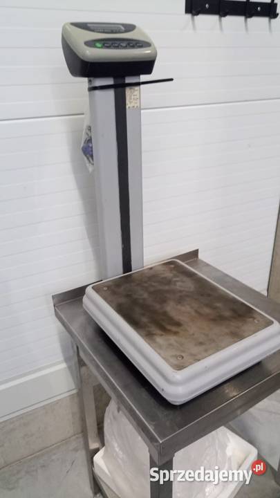 Waga magazynowa Cas DL100 do 100 sprzedam