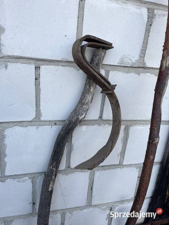 Ząb unia Grudziądz Potok Górny sprzedam