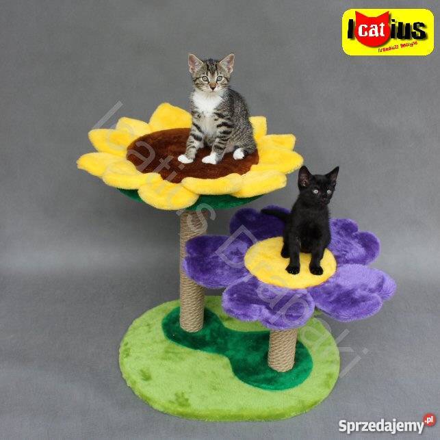 Drapak kota Icatius Wyjątkowy Łódź