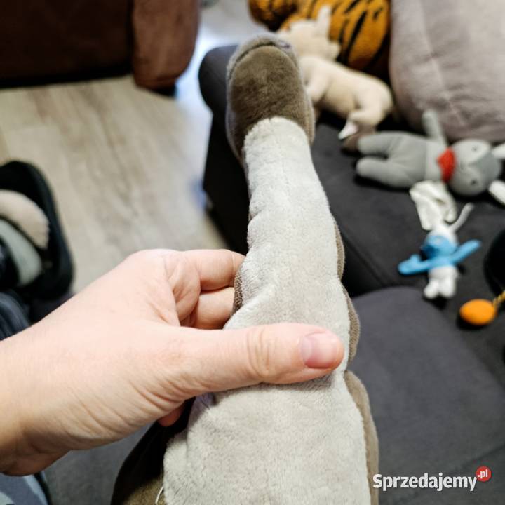 dinozaur gustaw Dino sasha 45 Poznań sprzedam