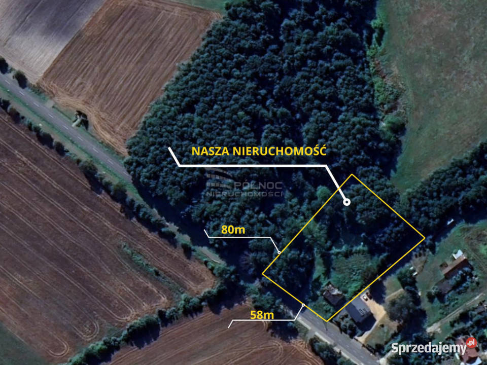 Działka rolnobudowlana z potencjałem w cegła Chotyłów