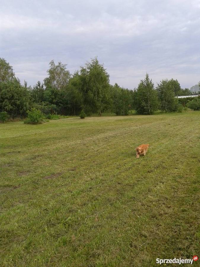 Okazyjnie sprzedam działke mazowieckie Warszawa