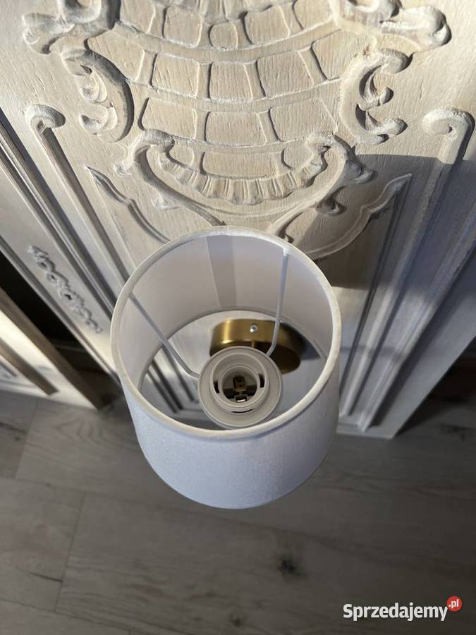 Panel stare drewniane drzwi z lampą Żary