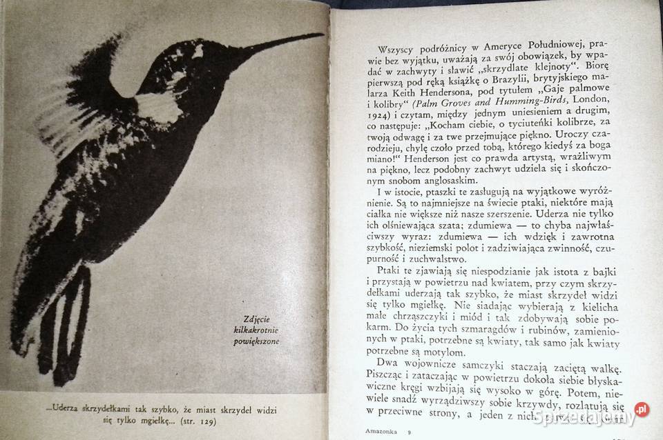 Zdobywamy Amazonkę Arkady Fiedler lubelskie Chełm