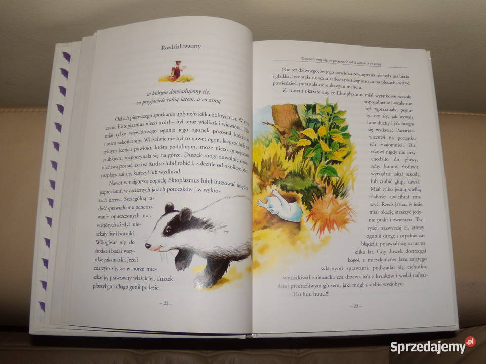 Duszek ze starego zamczyska Zofia Szanter Warszawa