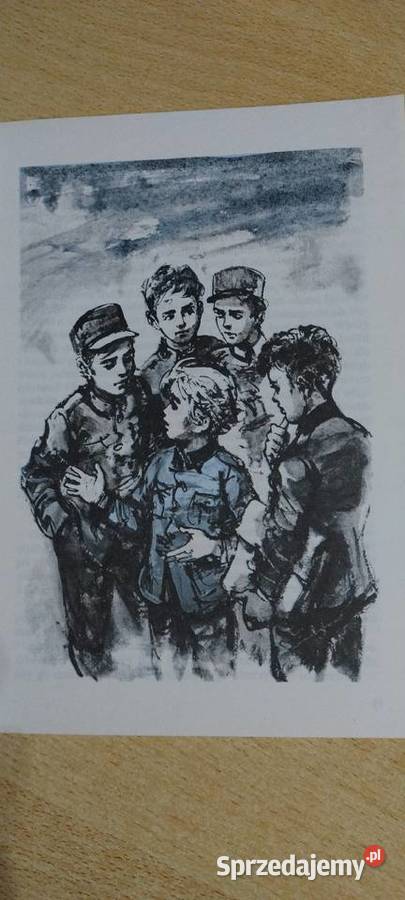 Chłopcy z placu broni Ferenc Molnar sprzedam