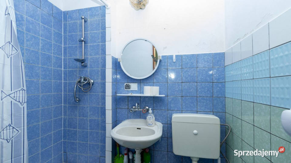 Lokal sprzedam Borysówka Lokale użytkowe