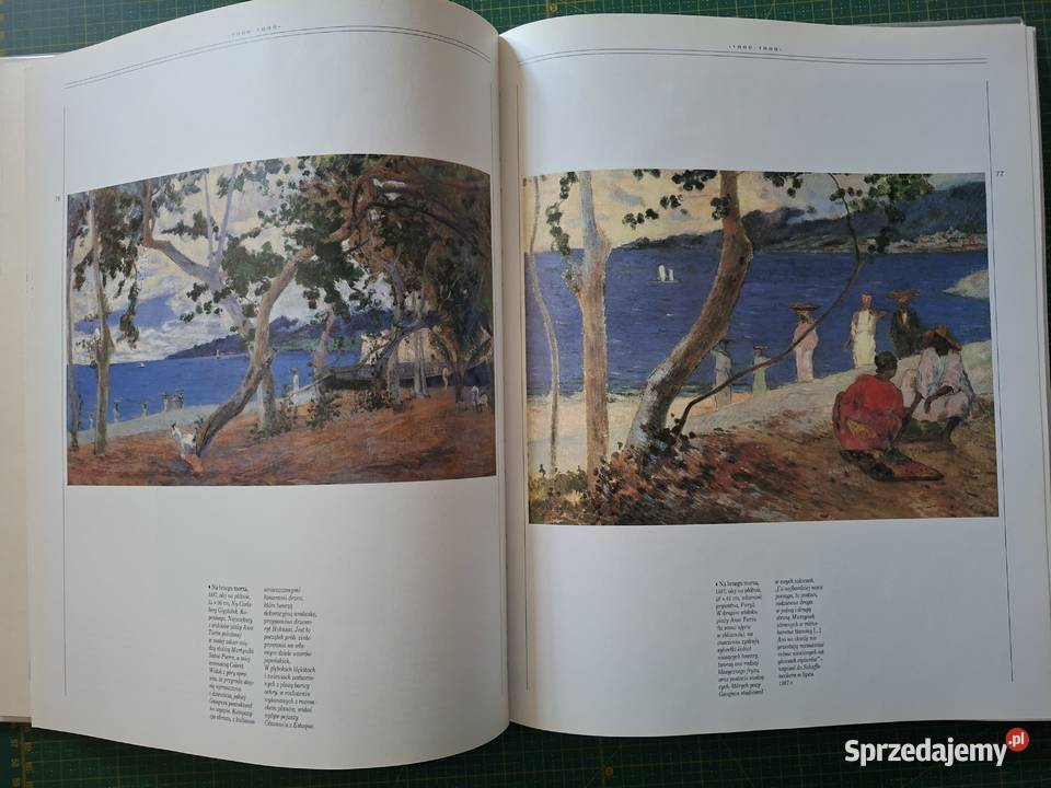 Życie i twórczość Paul Gauguin Arkady Książki naukowe i popularnonaukowe małopolskie Kraków