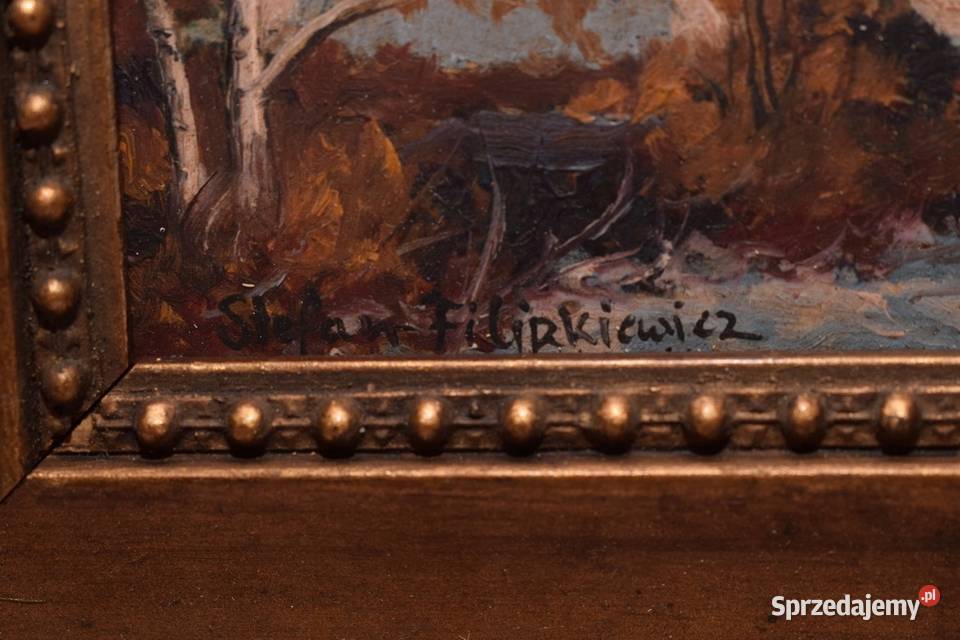 St Filipkiewicz Polski Pejzaż Zimowy Piękny Kraków