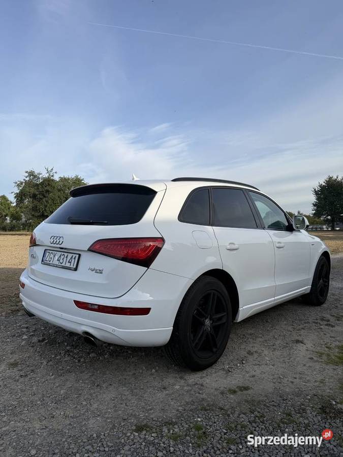 Audi Q5 20 TFSI Hybrid nieuszkodzony
