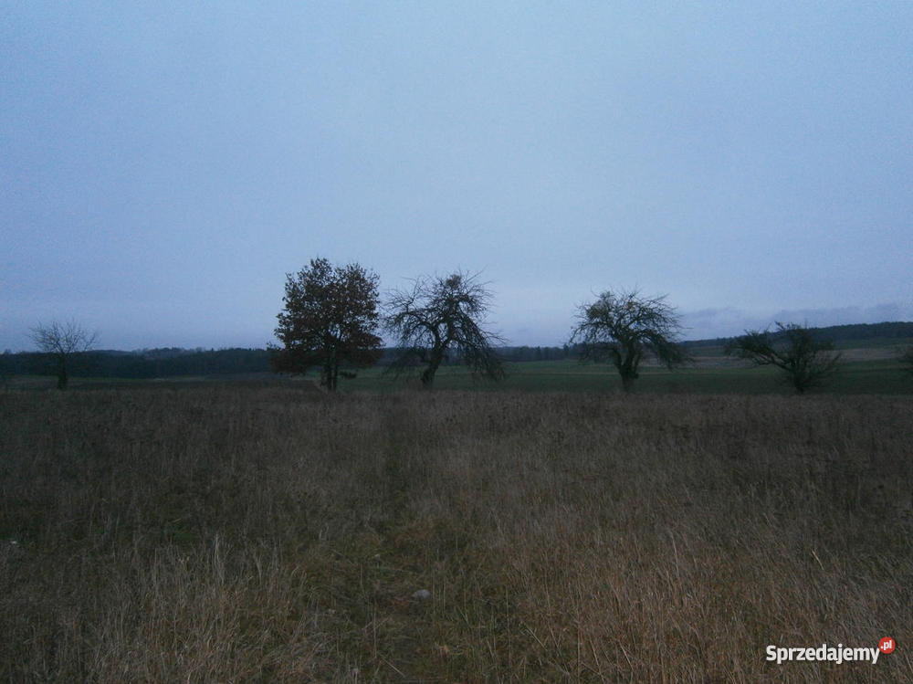 działke siedliskowa uzbrojona 3000m2 w wojewódz Nieruchomości pomorskie Dziechlino