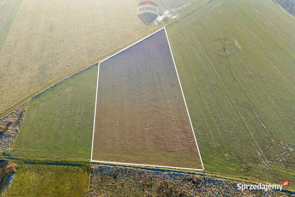 Okazja cenowa Duża działka Chocianowiec