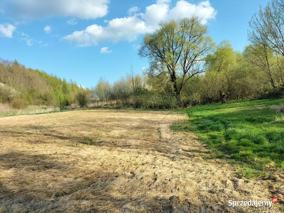 30ar Kościejów gm Racławice małopolskie sprzedam