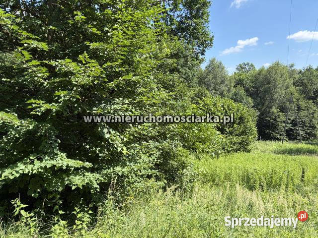 Działka Mszana 3550m2 3550m2