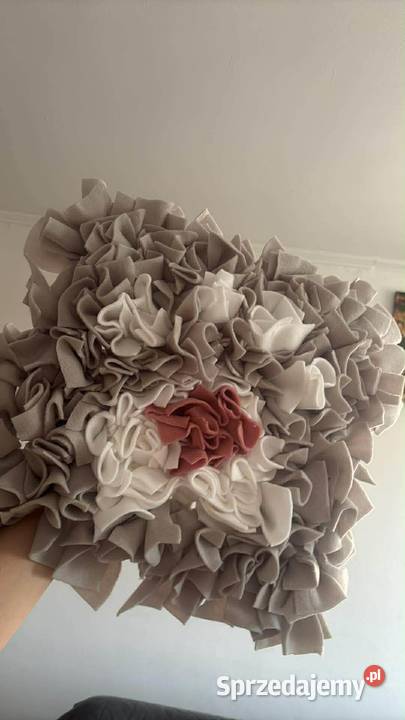 Mata węchowa prezent który merda ogonem pies kot Bielsko-Biała