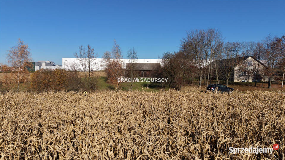 Grunt sprzedam PrandocinIły 4718m2 Sprzedaż małopolskie Prandocin-Iły