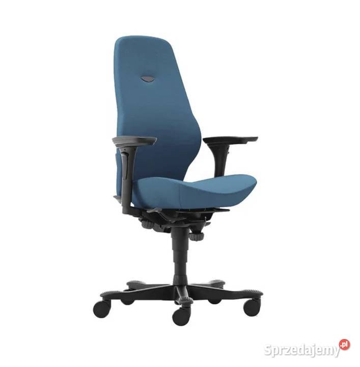 Fotel ergonomiczny Kinnarps Plus jasnoniebieski Warszawa
