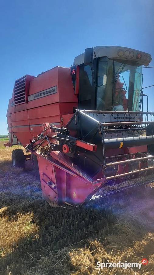 MASSEY FERGUSON 34 Header do kukurydzy małopolskie Szczurowa