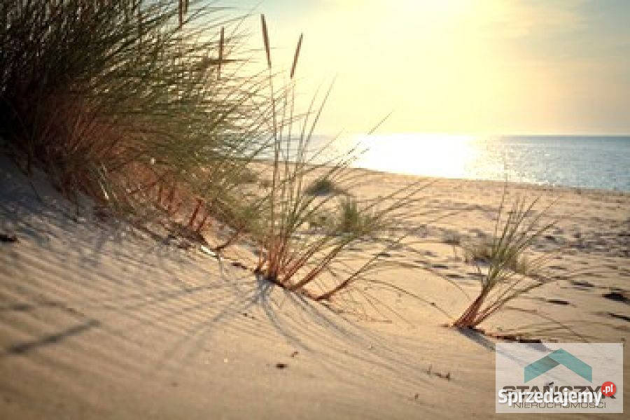 Sprzedam działka Ładzin 4600 metrów Wisełka