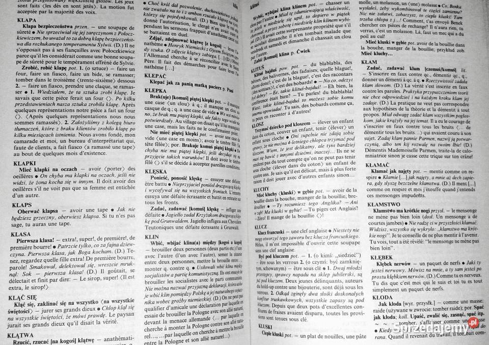 Polskofrancuski słownik frazeologiczny Leon Pozostałe Chełm