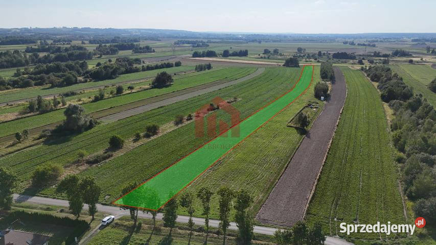Grunt 7300m2 Świlcza