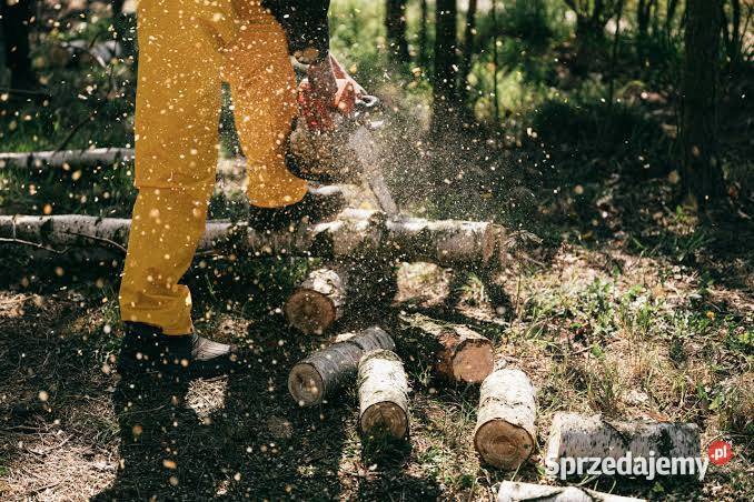 Wycinka drzew krzewów cięcie rąbanie drewna Iława