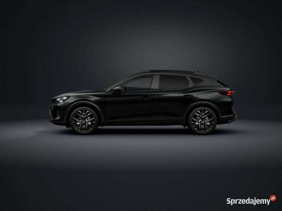 Cupra Formentor Tribe Edition 20 TSI 204 DSG autoalarm Łódź sprzedam