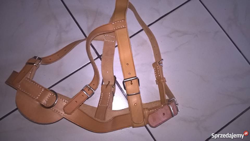 Szelkiszorki dużego psa Leszno sprzedam