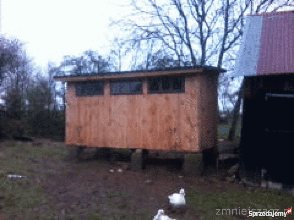 Gołębniki kurniki domek WOJCIECHÓW solidny ładny Akcesoria dla zwierząt