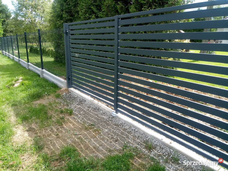 Brama dwuskrzydłowa D02 ocynkkolor dowolny metal Bramy