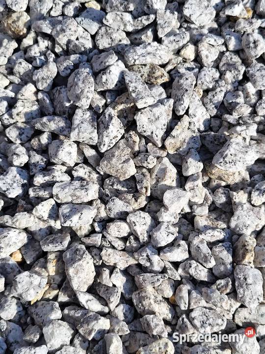 Grys granit Dalmatyńczyk 816 1622 Kamień Garwolin