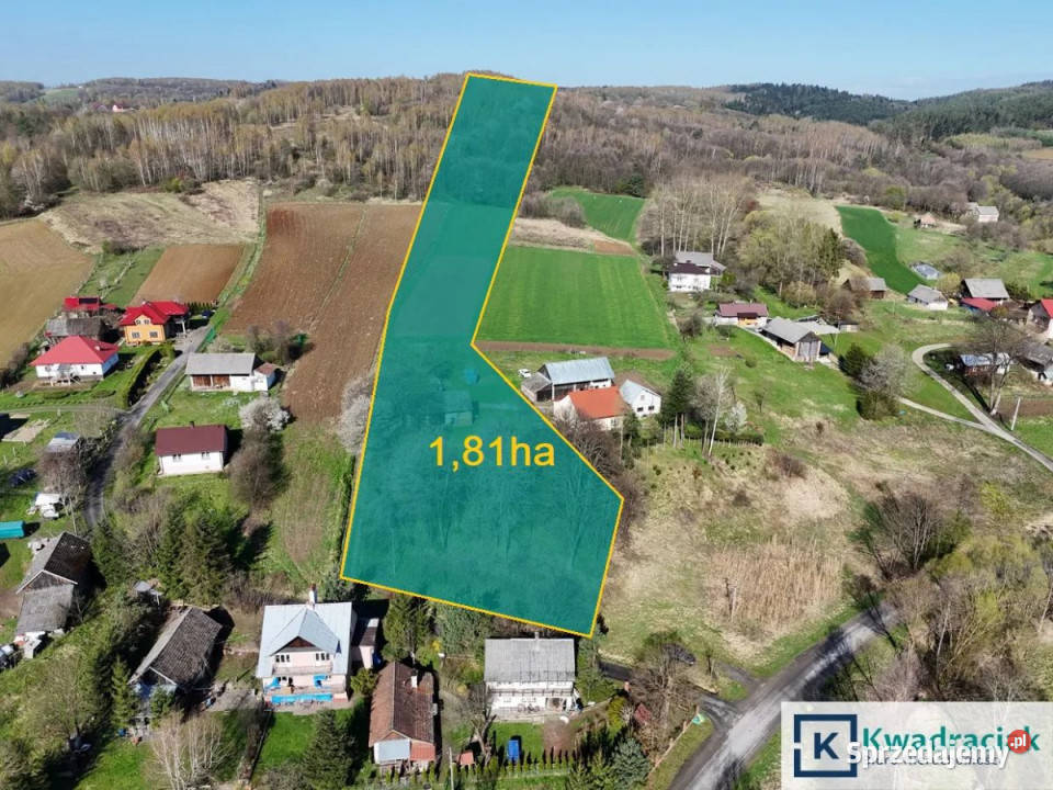 Dom wolnostojący Śliwnica 80m2 sprzedam