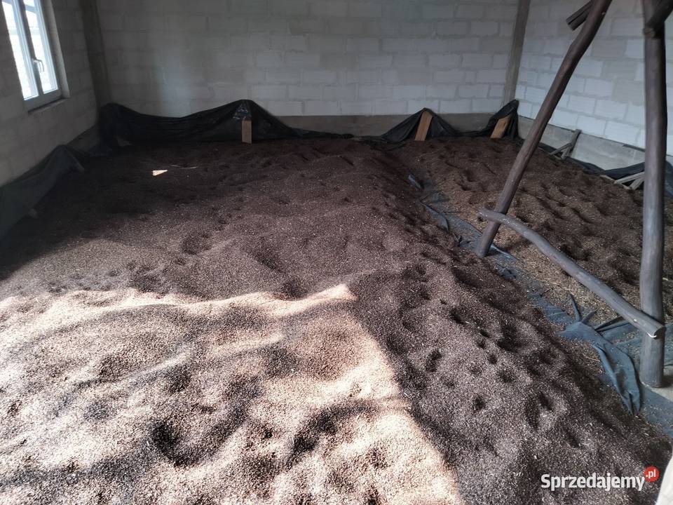 Gryka Nowowola sprzedam