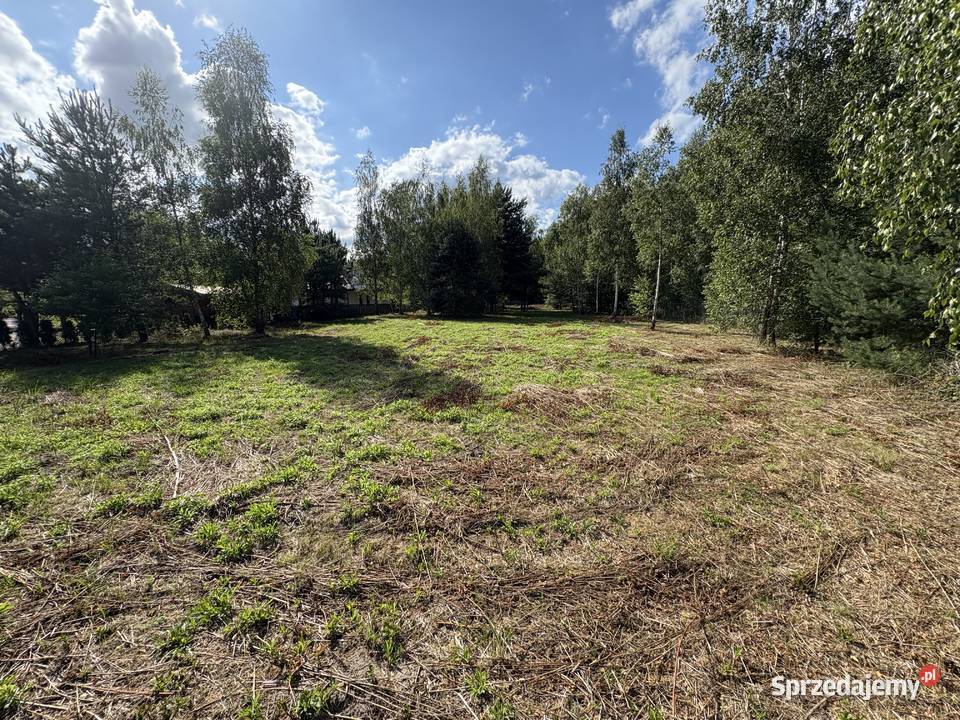 działka budowlana 3001 m plan miejscowy łódzkie Anielin Swędowski sprzedam