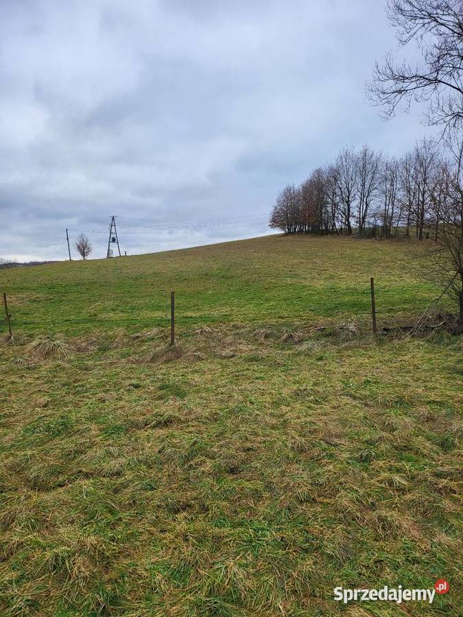 Dom na dużej działce do wynajęcia Gospodarstwo asfalt Jodłowa