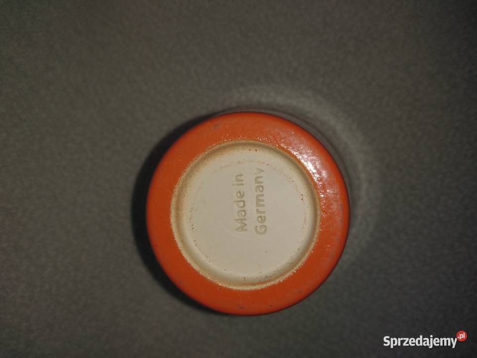 Mała osłonka na storczyka pomorskie Nowa Karczma