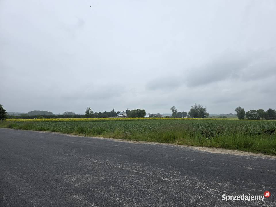 Działka rolna 8313m2 III klasa ziemi 8313m2 Sprzedaż Regimin