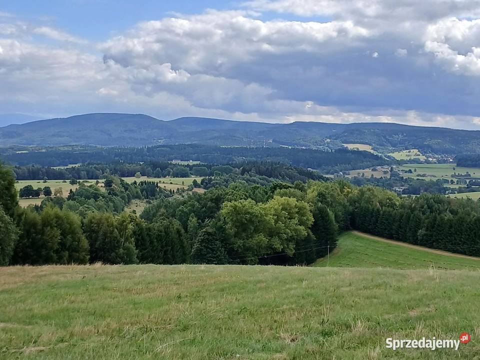 Na sprzedaż działka rolnobudowlana o powierzchni Łężyce
