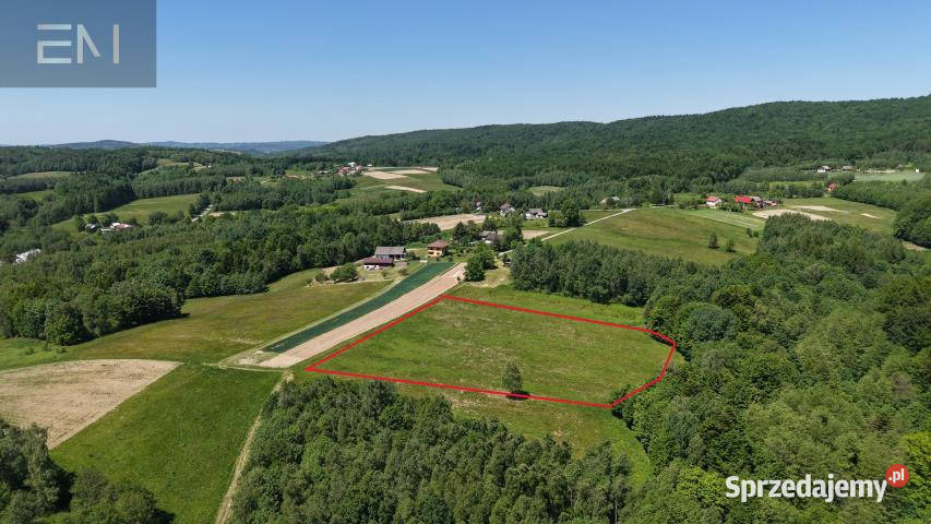 Działka 8800m2 Huta Gogołowska sprzedam