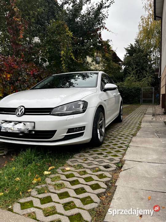 Volkswagen golf 7 2015r bluemotion Golf sprzedam