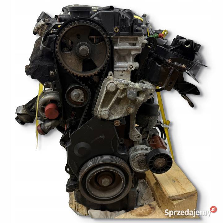 SILNIK G6DD Ford Focus II MK2 C C 20 TDCI 136 osobowe Chełm