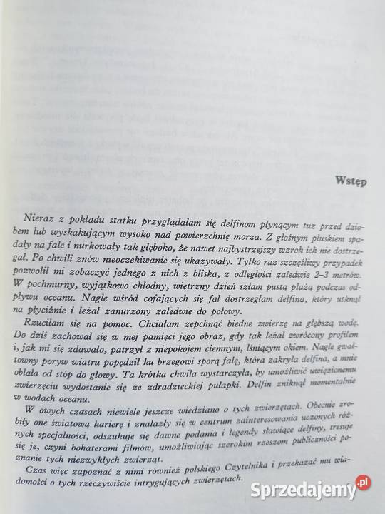Sekrety delfinów Wernerowa książki Trójmiasto Gdańsk