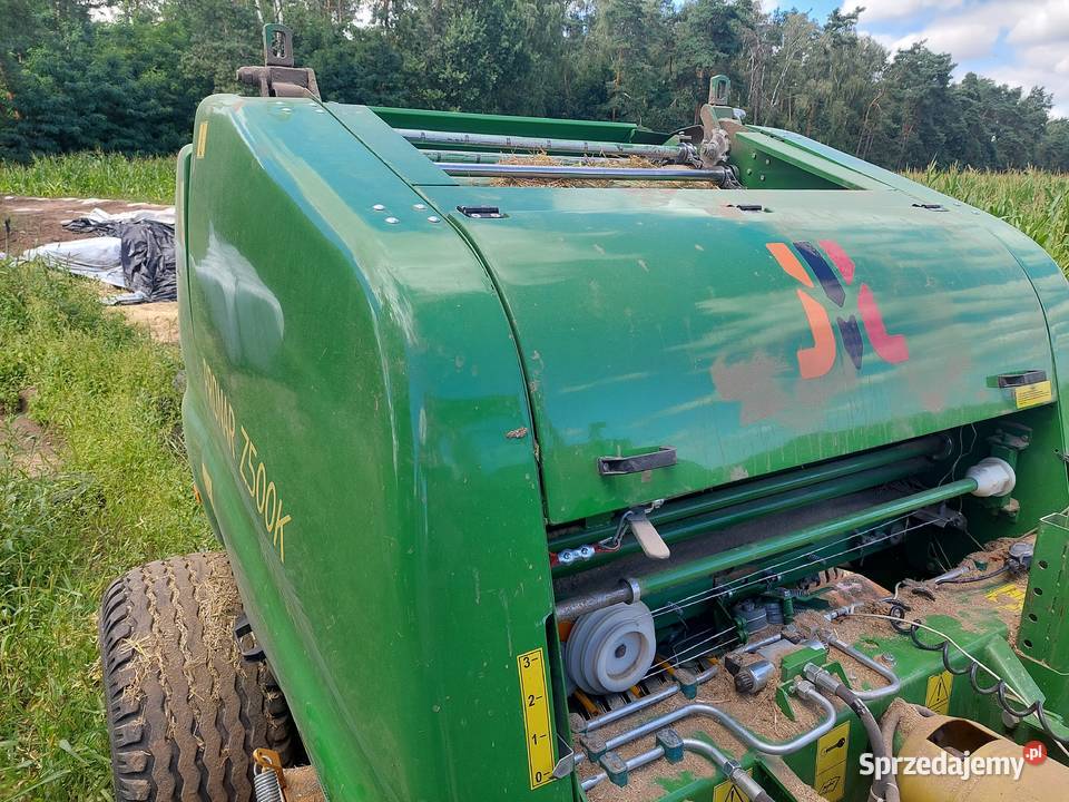 Sprzedam prase pronar mazowieckie Słupca