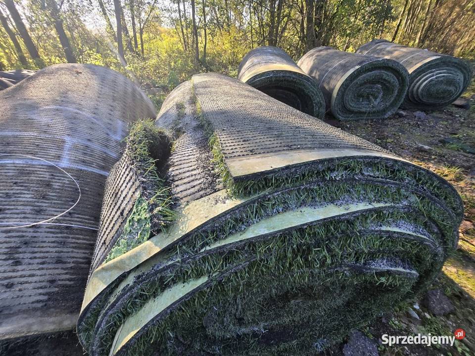 Sztuczną trawa Trawy Przęsławice