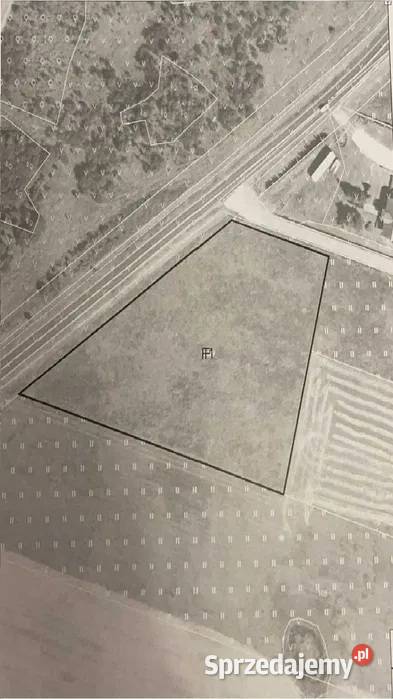 Działka budowlana Ziemia Brzeźno obok Czarnkowa wielkopolskie Czarnków