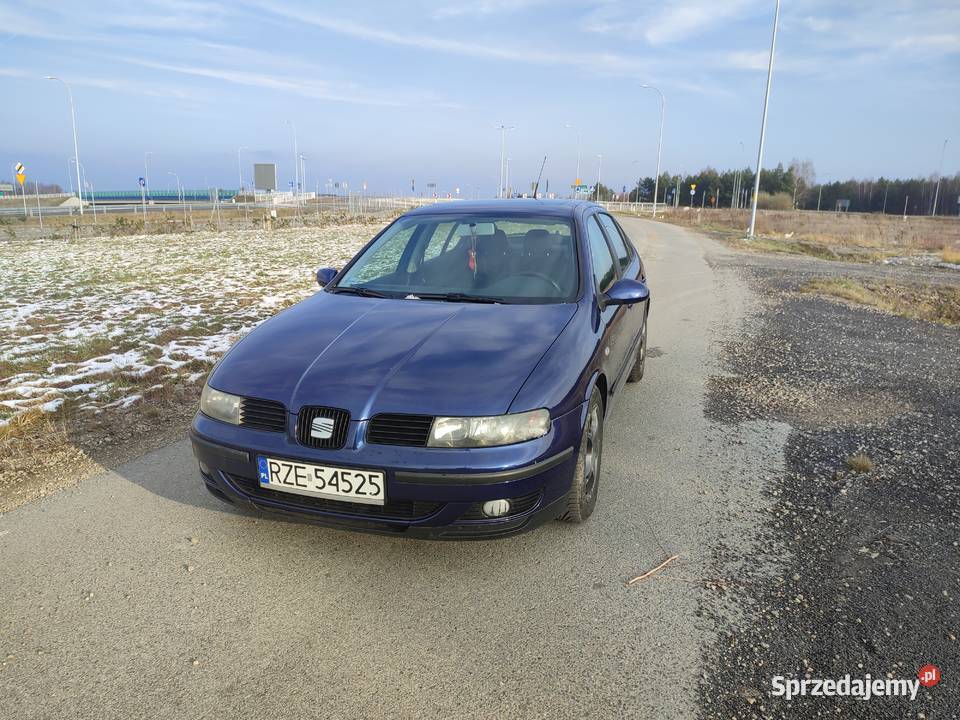 Seat Leon Kamień