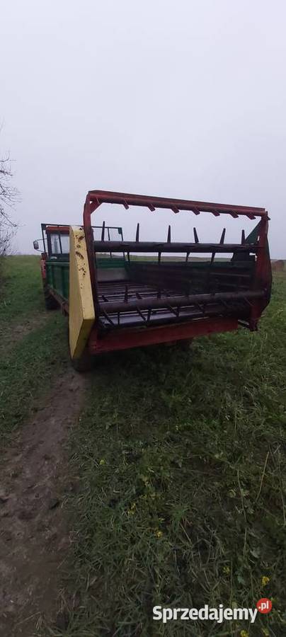 Rozrzutnik obornika czarno białostocka Izbica Kujawska