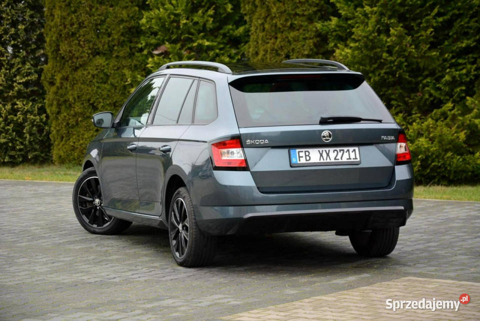 koda Fabia Monte Carlo DSG Ledy Panorama mazowieckie