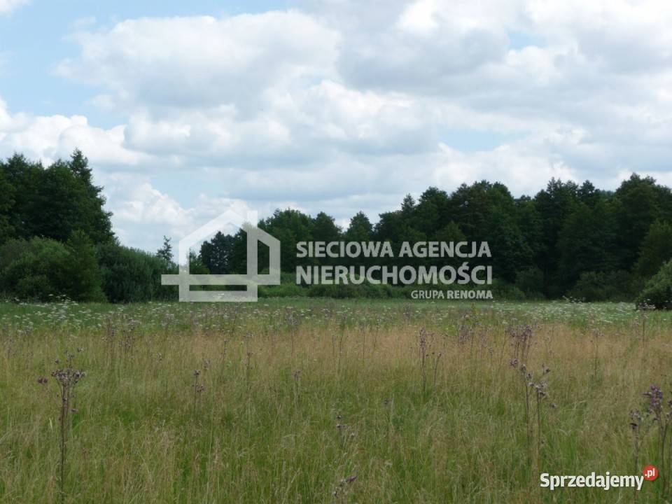 Do sprzedaży działka 428m2 Osiek Sprzedaż